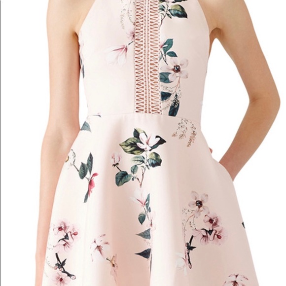 Keepsake Spring Dress - Picture 2 of 5